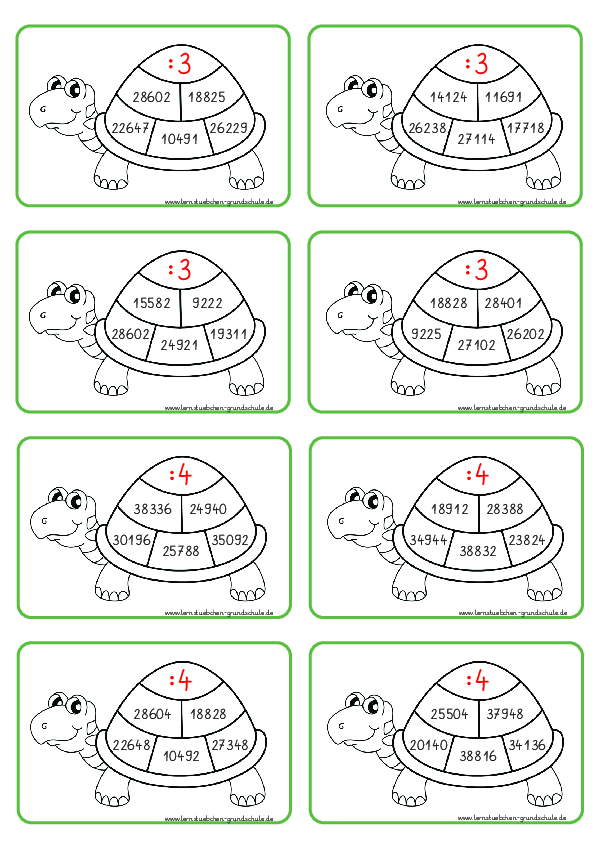 5 Aufgaben Schildkröte.pdf